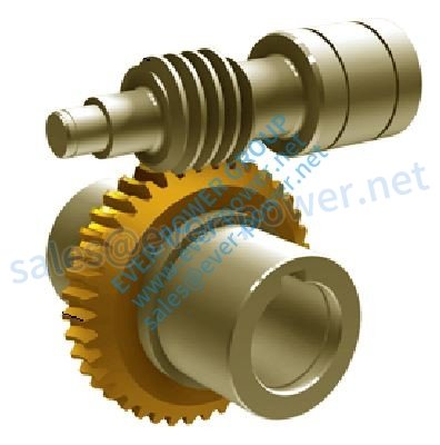 Gear Worm Wheel 齿虫轮