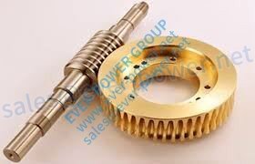 Brass Worm Wheel Brass Worm Wheel