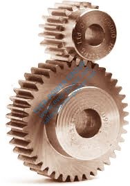 Spur Gear
