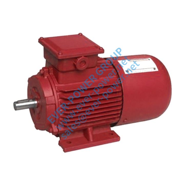 79-3 Phase Synchronous Motor 79 3 Phase Synchronous Motor