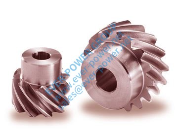 Stainless Steel Screw Gears Stainless Steel Screw Gears