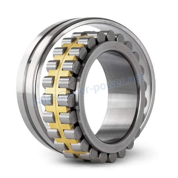 Double Row Cylindrical Roller Bearing-2 Double Row Cylindrical Roller Bearing 2