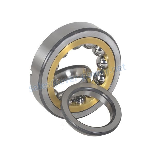 Four-point Contact Ball Bearing Four point Contact Ball Bearing