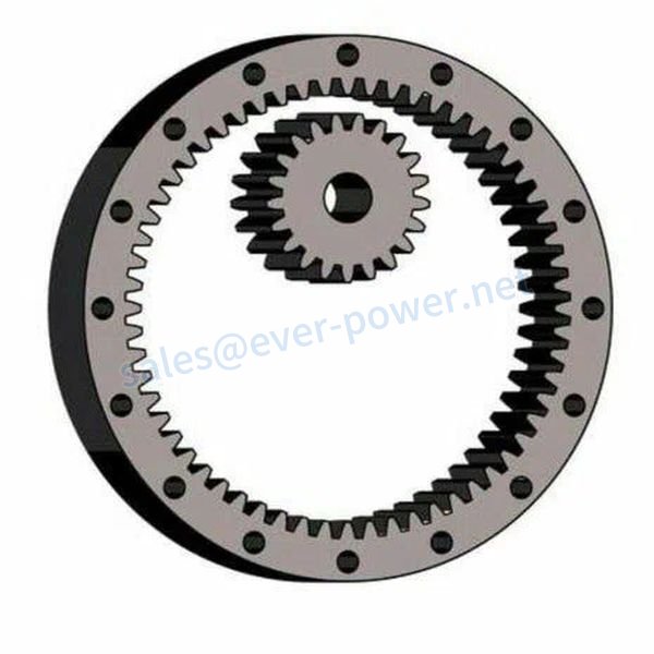 Internal Spur Gear-1 内部齿轮1