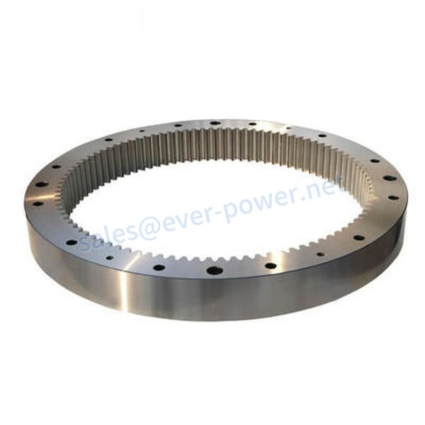 Stainless Steel Ring Gear Stainless Steel Ring Gear