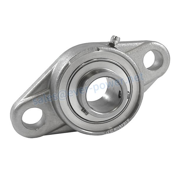 Stainless Steel 2-Bolt Flange Bearings-1 Stainless Steel 2 Bolt Flange Bearings 1