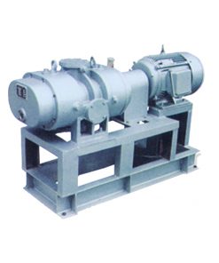 Cas Cooling roots pump