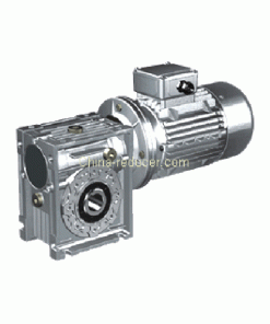 RV Series Worm Reducer 11