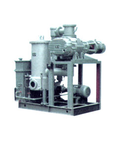 Roots pump with cooling gas circulation dry vacuum stations