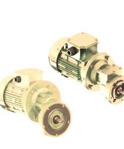 급이 시스템용 가금류 및 양돈 기어드 모터