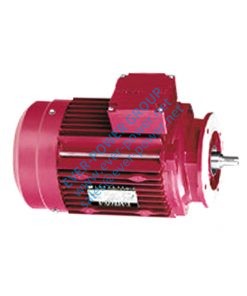 Dimension of special motor