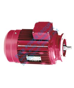 Dimension of special motor