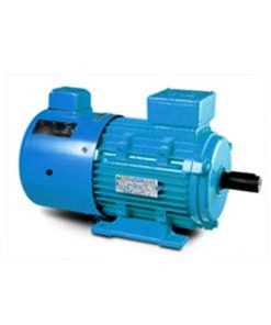 special motor for speed reducing 2