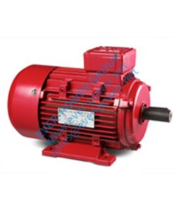 special motor for speed reducing