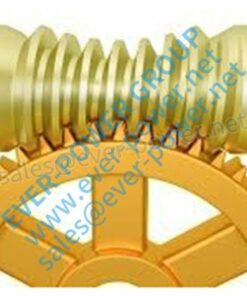 Globoid Worm Gear