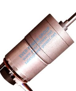 59 Small Gear Motor 1