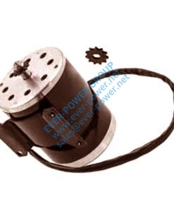 69 24v Electric Motor