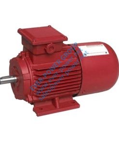 79 3 Phase Synchronous Motor