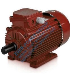 83 Single Phase Induction Motor