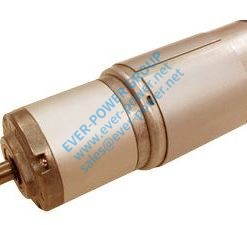 Planetary Gear Motor